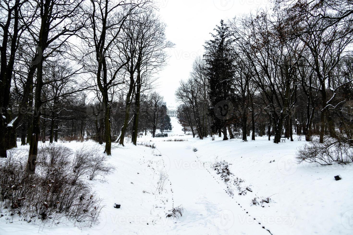path in the parkin Warsaw Poland on a snowy winter day photo