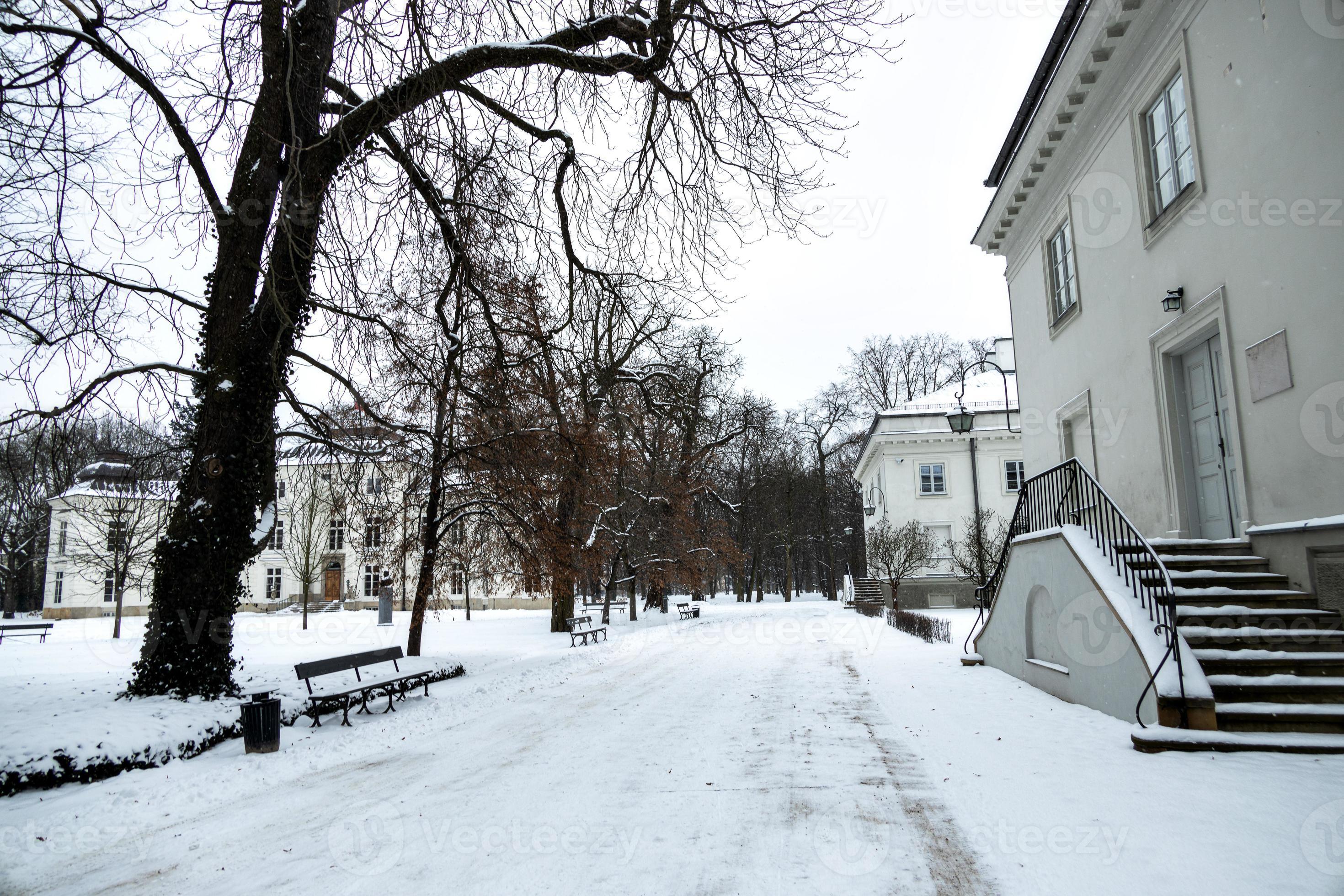 park in Warsaw Poland on a snowy winter day 22260277 Stock Photo at Vecteezy