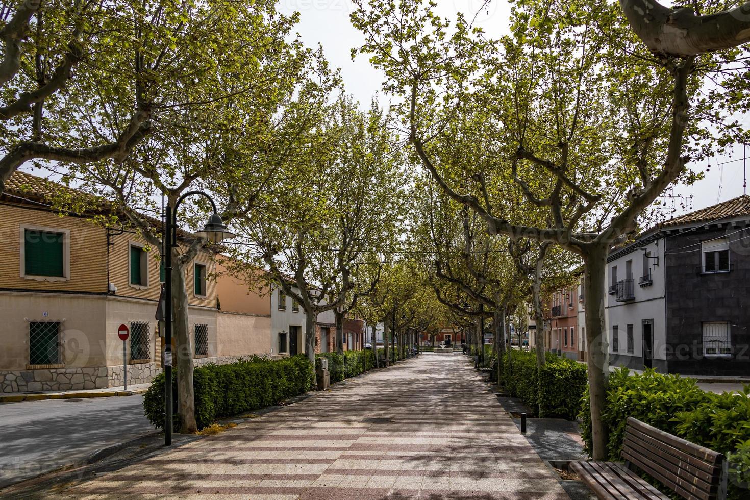 vacío callejón con arboles en un pequeño Español pueblo en un primavera día foto