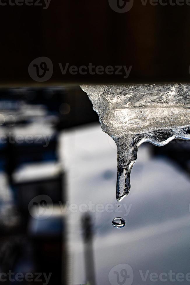 ittle winter icicles with dripping water close-up photo