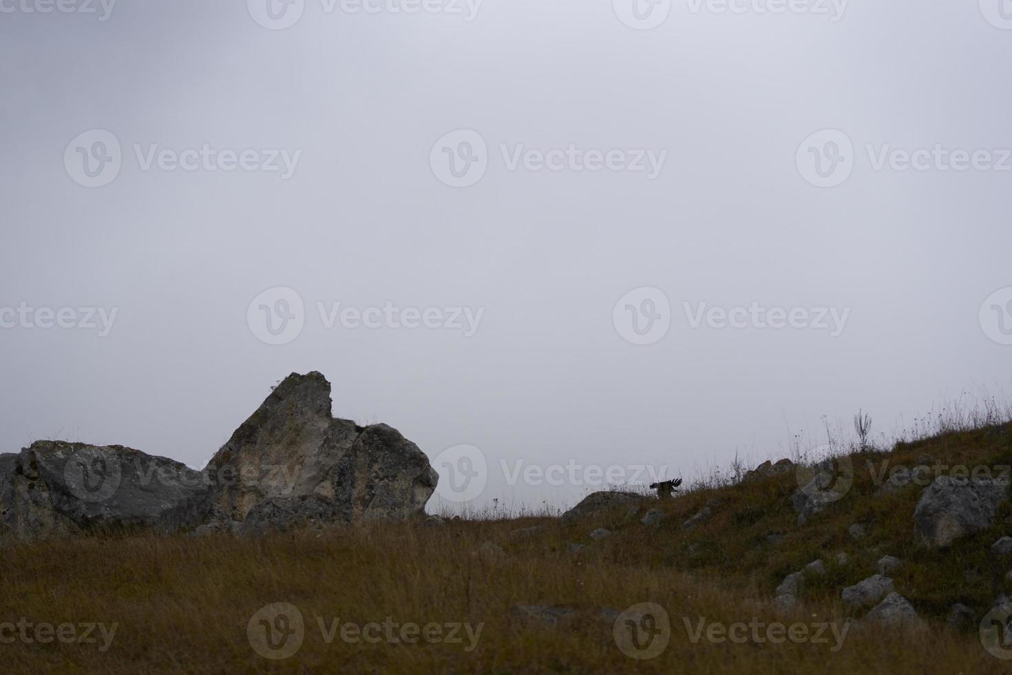 landscape Valley trees green meadow sky weather photo