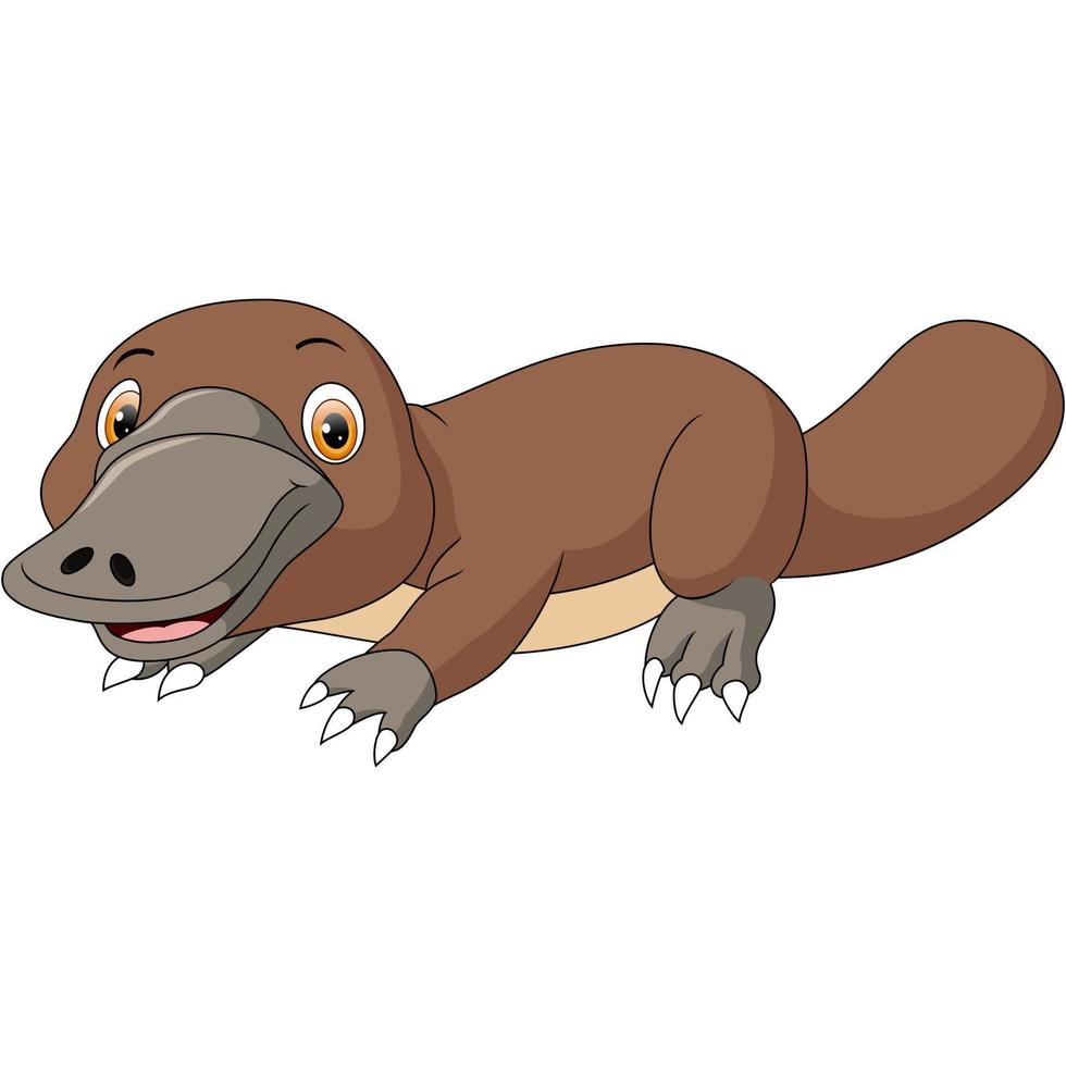 Cute platypus cartoon on white background vector