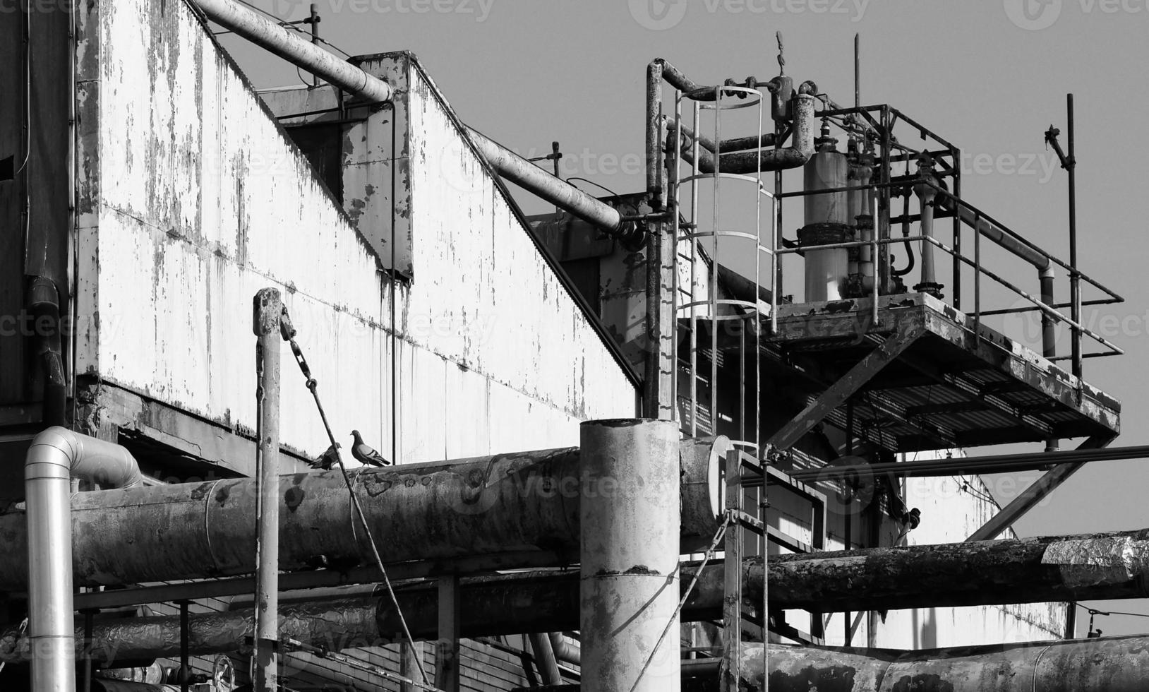 abandoned factory ruins photo