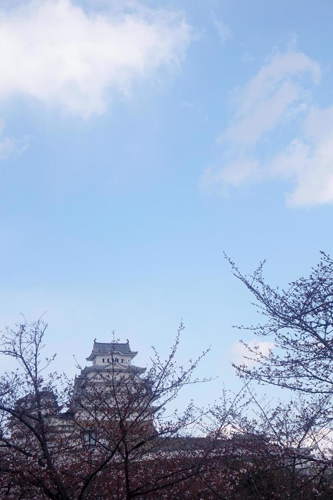 Himeji Castle, Osaka, Japan, 2019 - Himeji Castle in spring surrounded by sakura cherry blossom taken from the castle ground photo