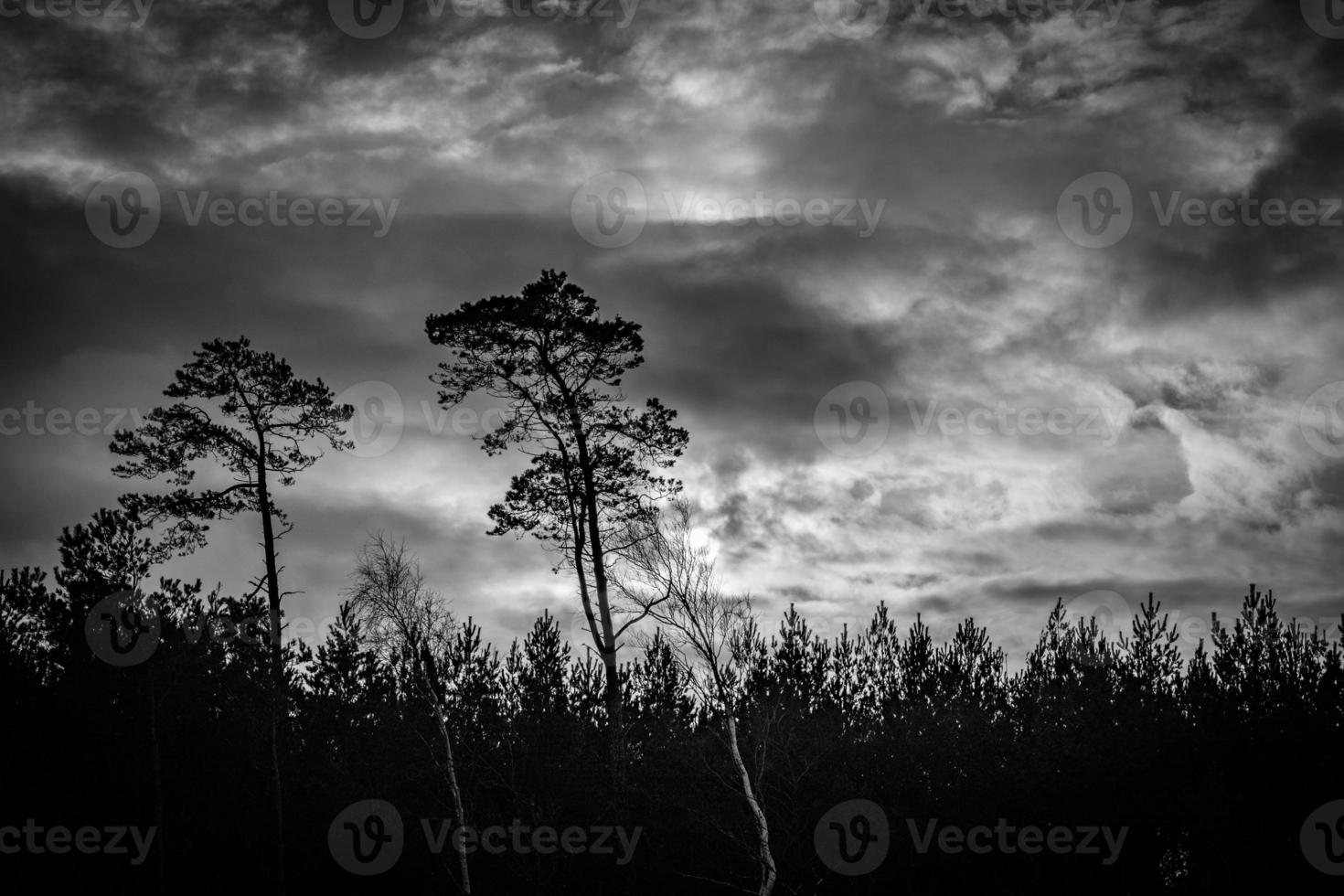 sunset over the dunes by the Baltic Sea on a frosty winter day with clouds photo