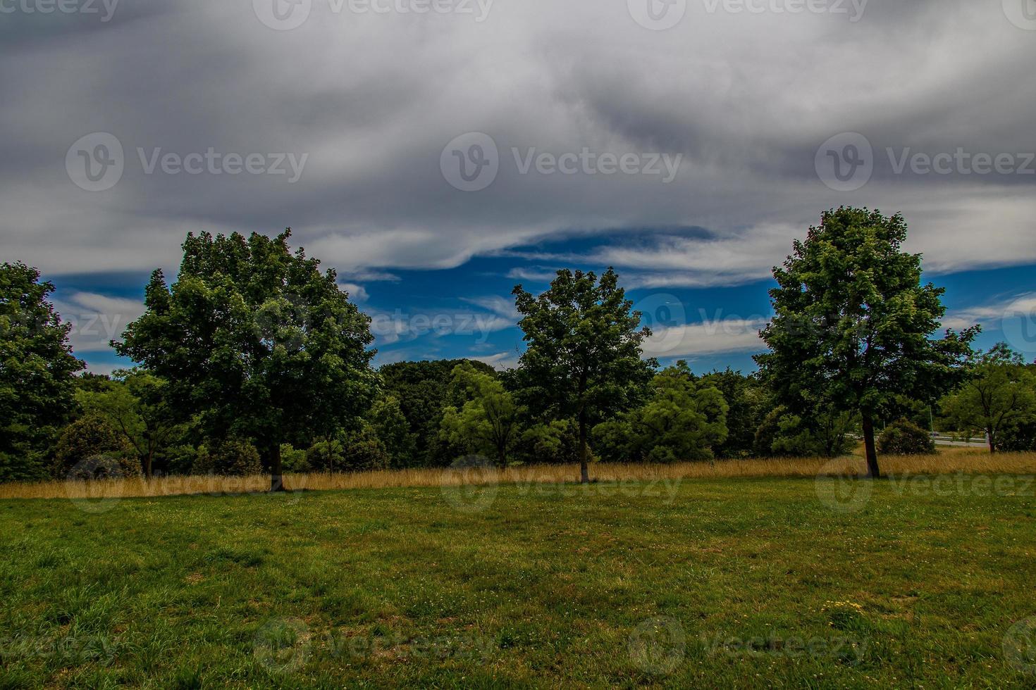 verano paisaje con verde árboles, prado, campos y cielo con blanco nubes foto