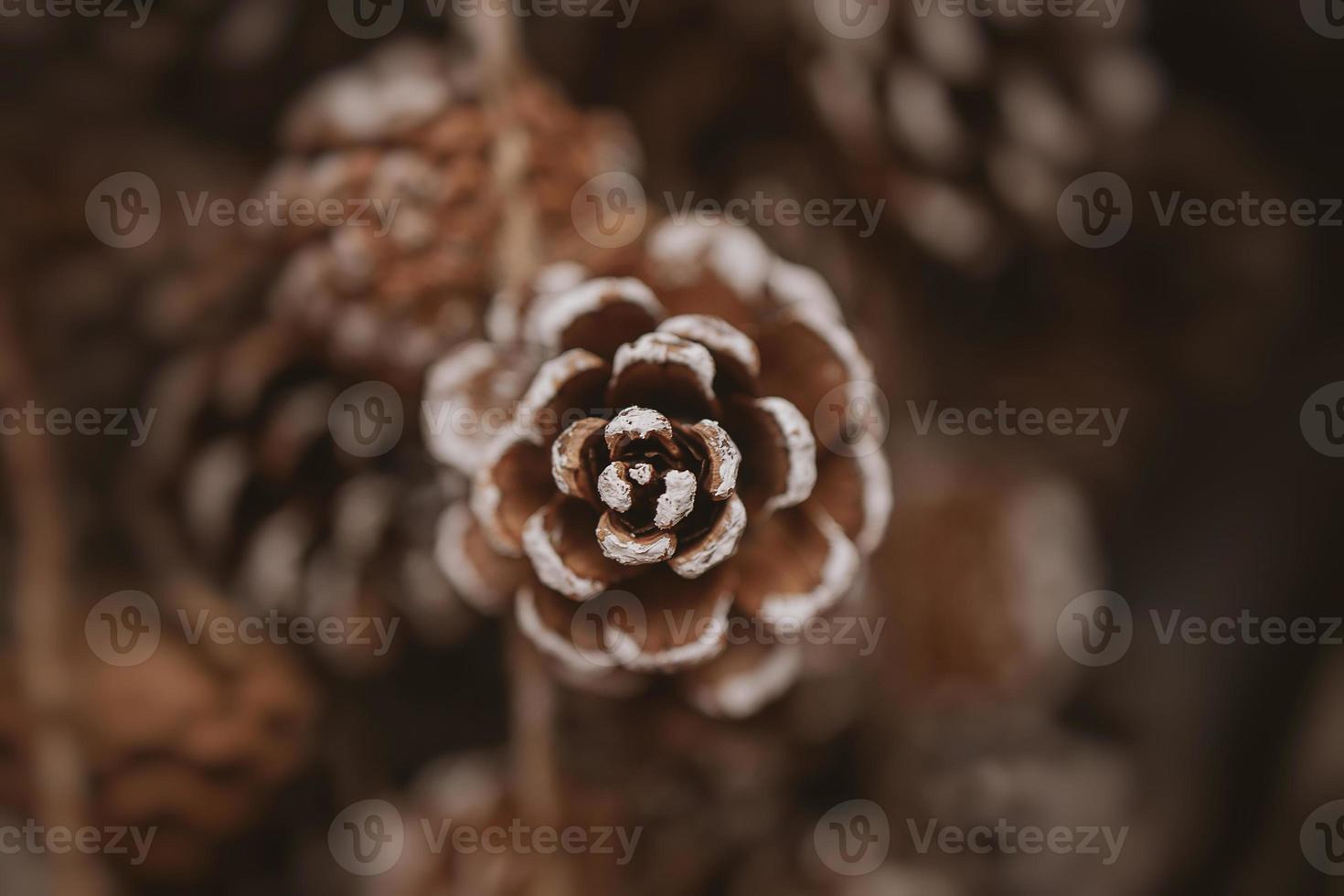 christmas decorations brown cones in a beige background in close-up photo