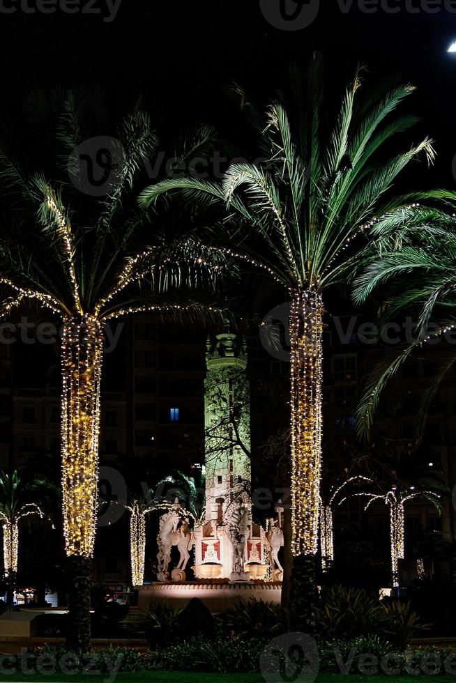 Luceros square in Alicante at night with decorative palm trees for Christmas photo