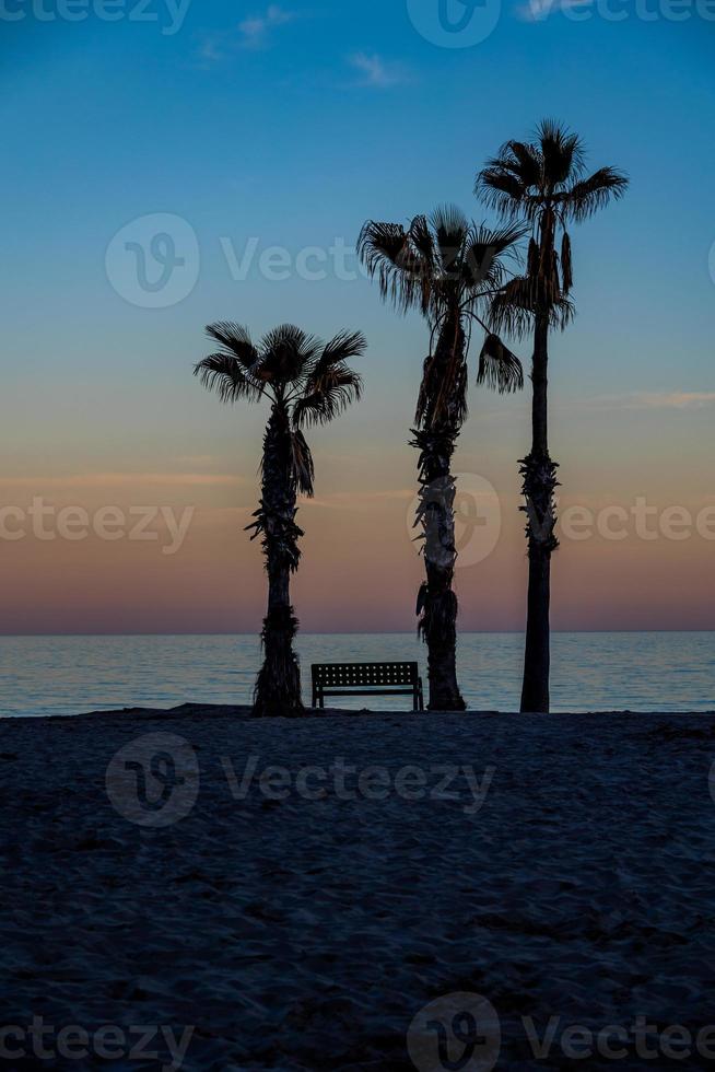 seaside landscape peace and quiet sunset and four palm trees on the beach and a bench photo