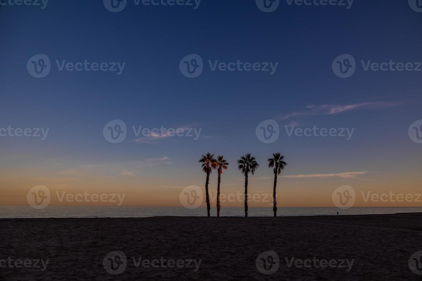 seaside landscape peace and quiet sunset and four palm trees on the beach photo