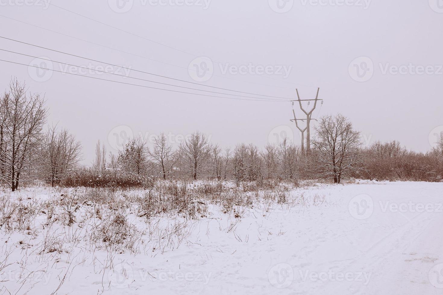 winter natural landscape with snow-covered trees in the forest and a narrow path photo