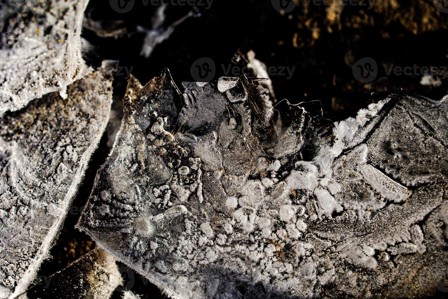 nteresting abstract background with ice close-up on a frozen puddle photo