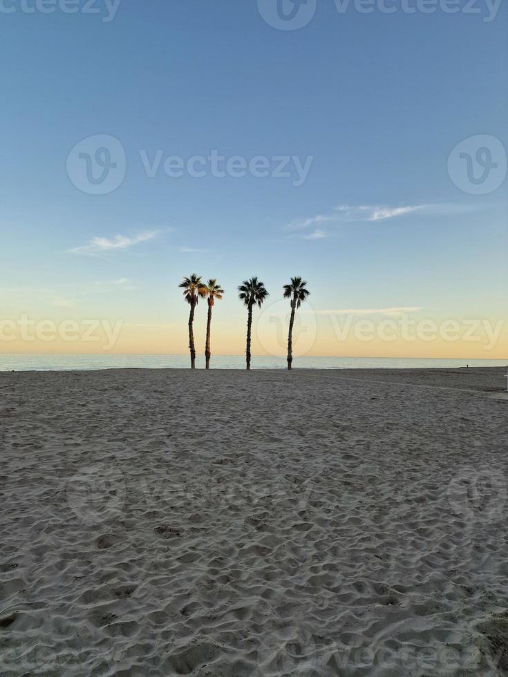 playa paisaje paz y tranquilo puesta de sol y cuatro palma arboles en el playa foto