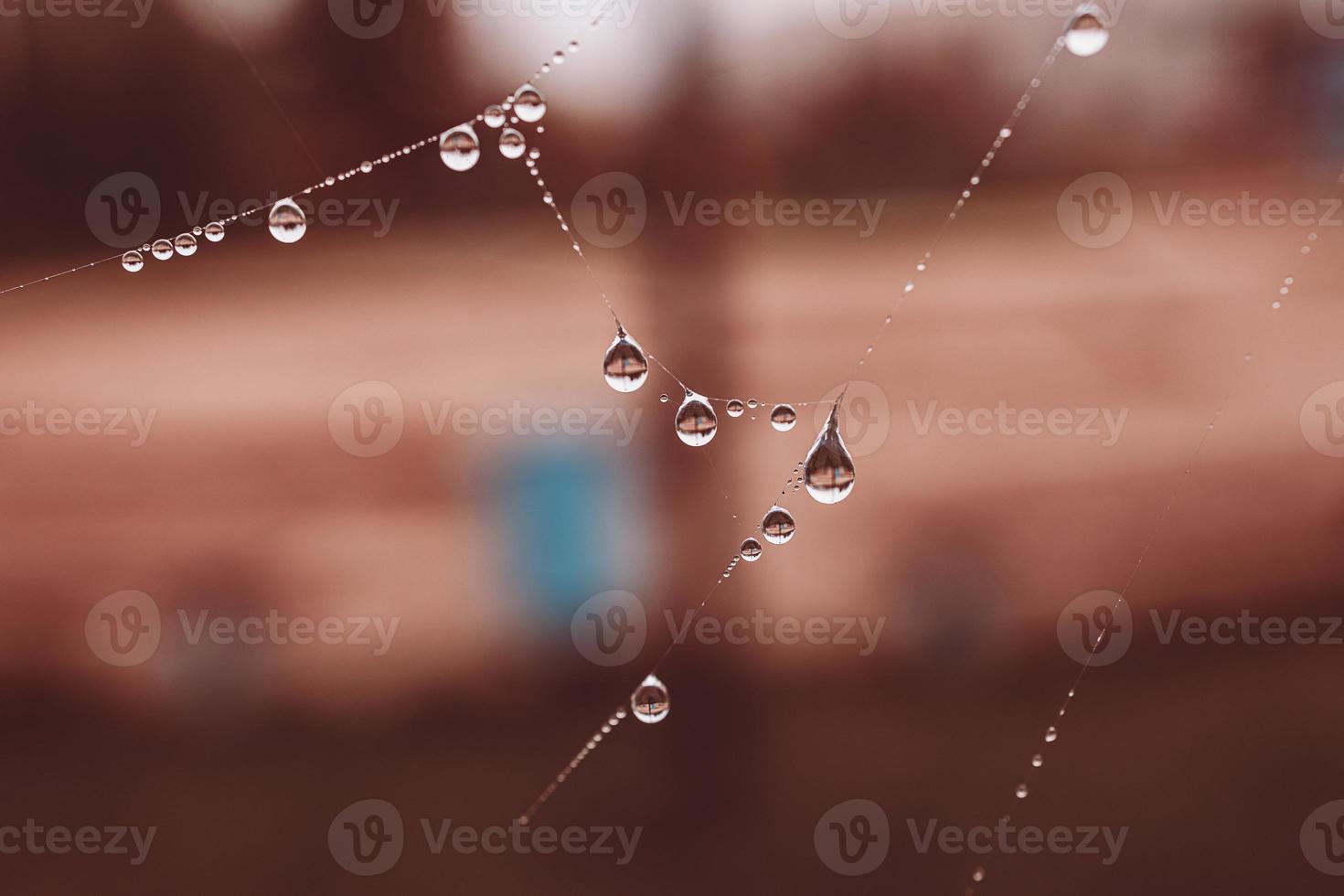 little soft water drops on a spider web on an autumn day close-up outdoors photo