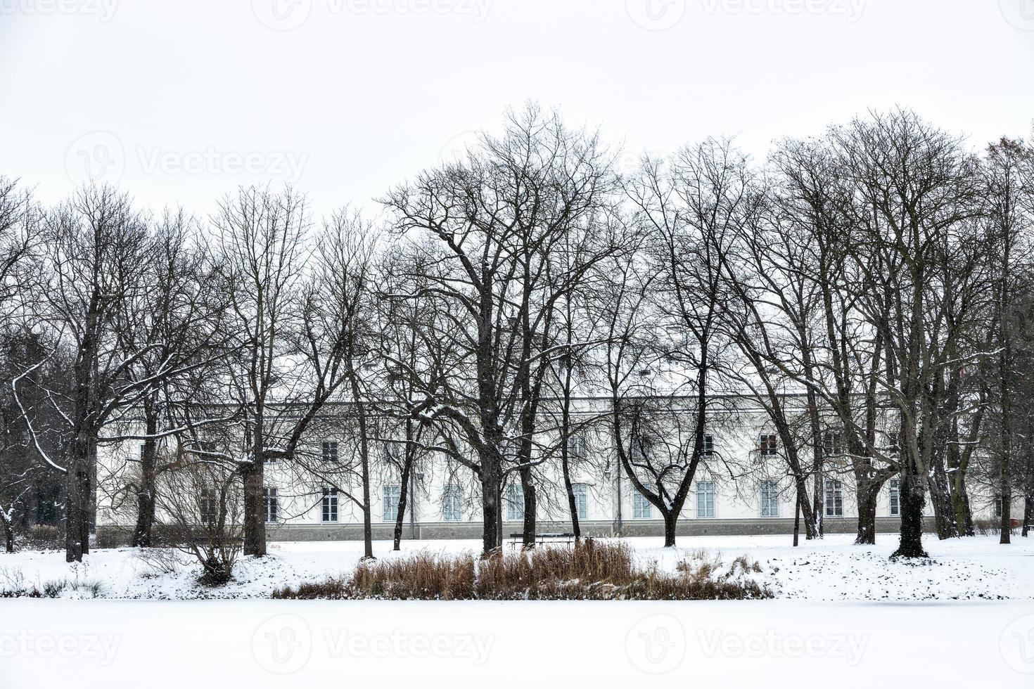 park  in Warsaw Poland on a snowy winter day photo