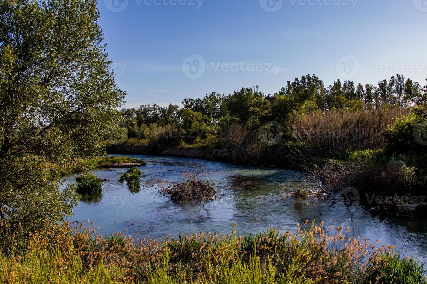 Español paisaje por el gallego río en Aragón en un calentar verano Dom día con verde arboles y azul cielo foto
