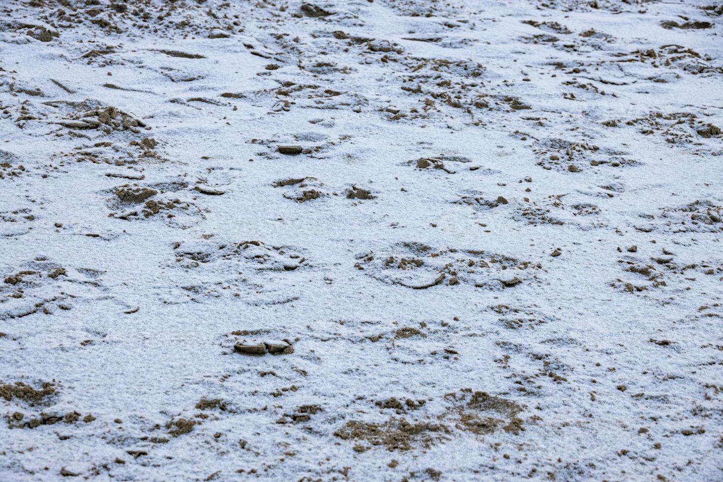 original winter sand background on the beach with footprints on the Baltic Sea covered with a thin layer of snow photo