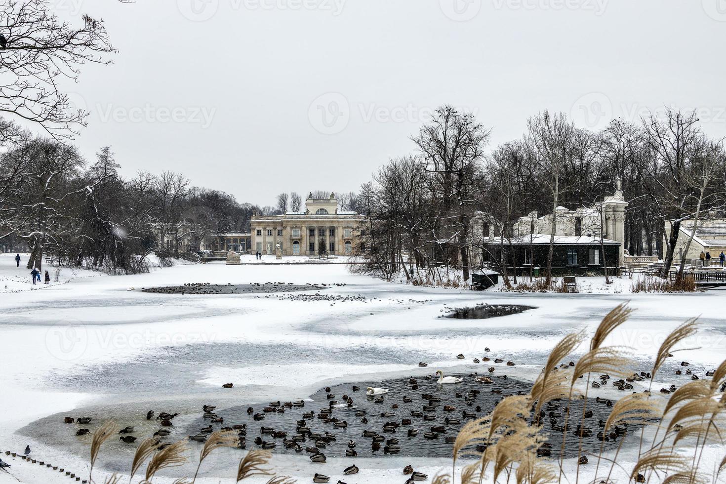 histórico palacio en el agua en en varsovia, Polonia durante Nevado invierno foto