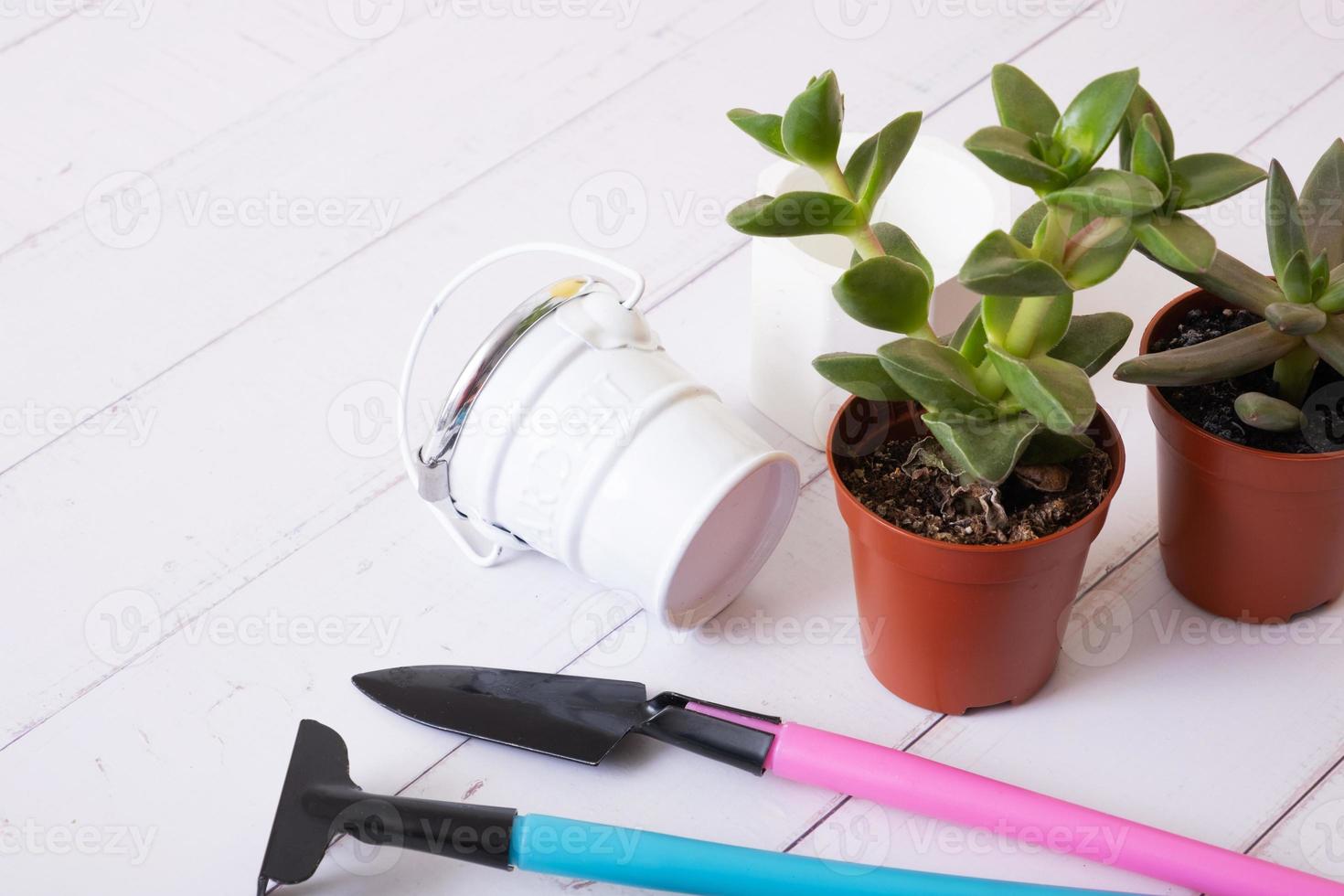 hogar plantas y jardinería herramientas con guantes, ollas en de madera mesa. hogar jardinería concepto foto