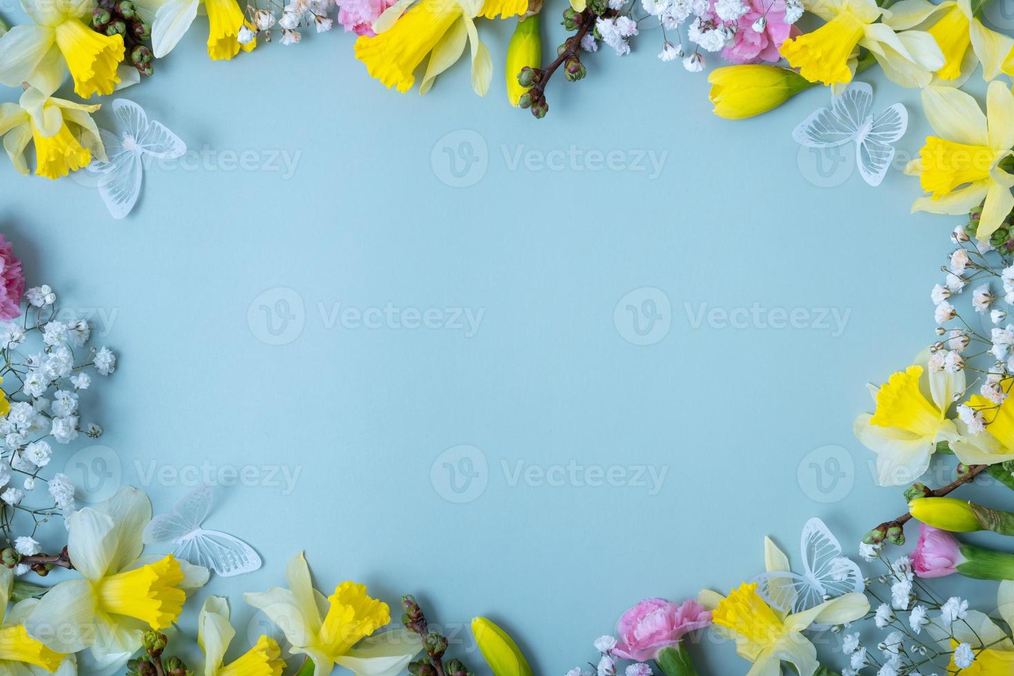 Spring flowers flat lay frame composition on colored background with copy space. Daffodils and willow with carnations top view photo