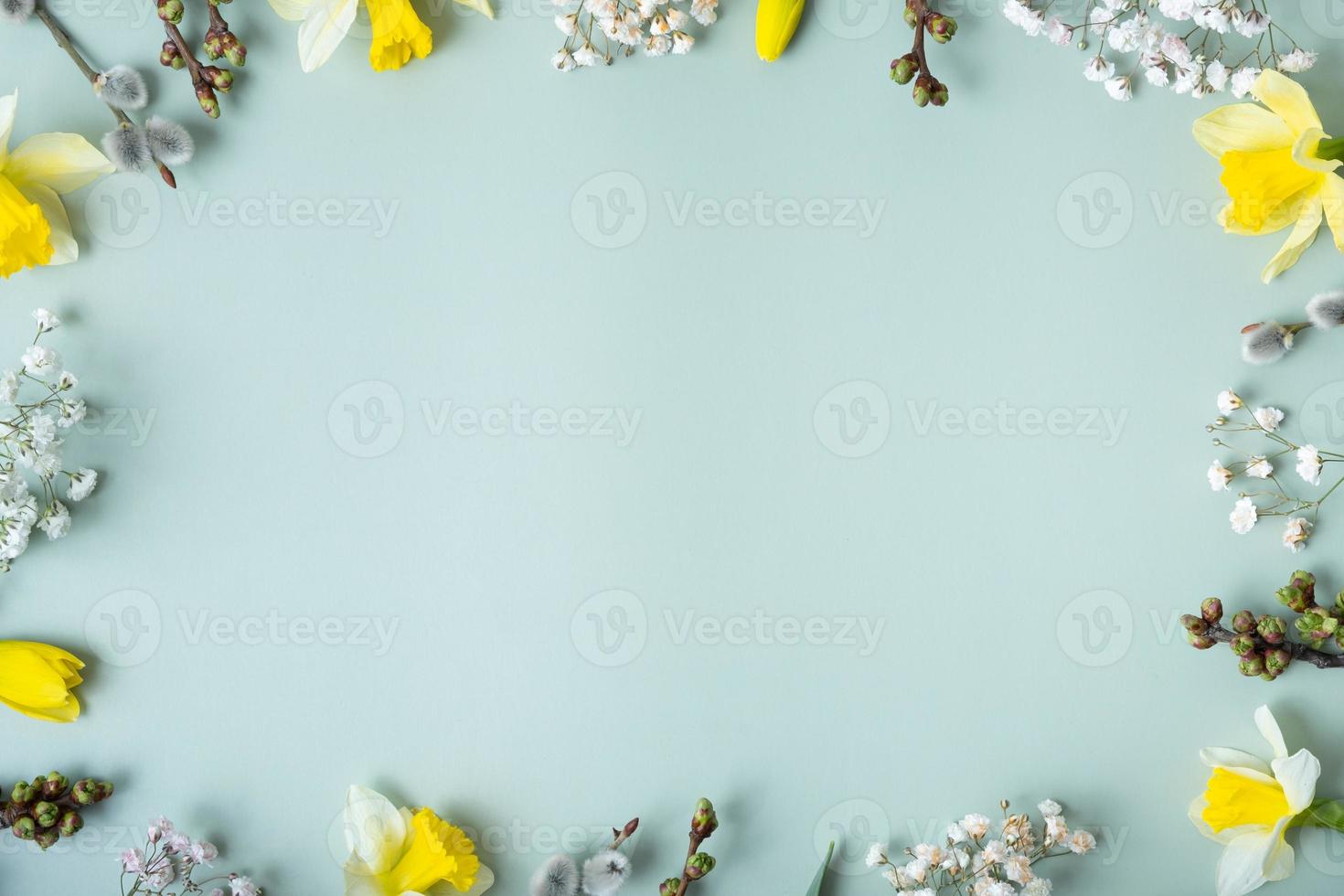 Spring flat lay composition on pastel green background with copy space. Daffodils and willow top view photo