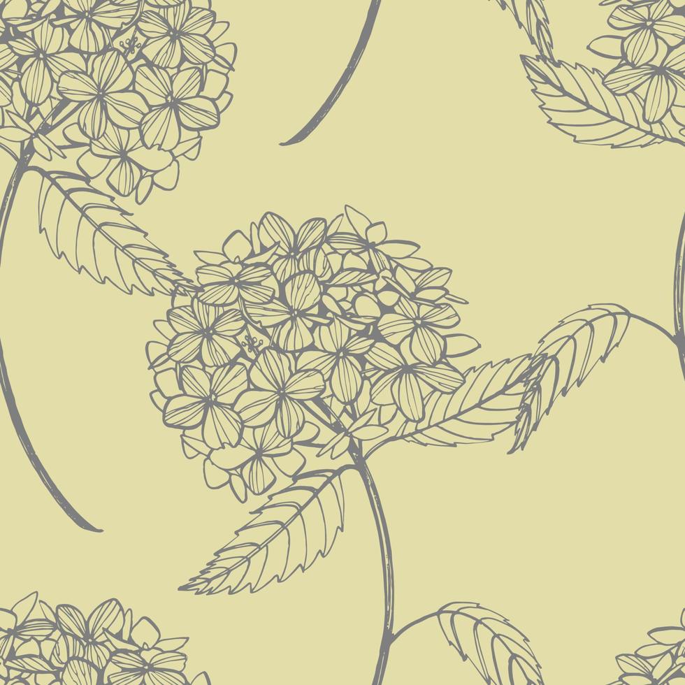 hortensia gráfico ilustración en Clásico estilo. flores dibujo y bosquejo con arte lineal en blanco antecedentes. botánico planta ilustración. escrito resumen texto vector