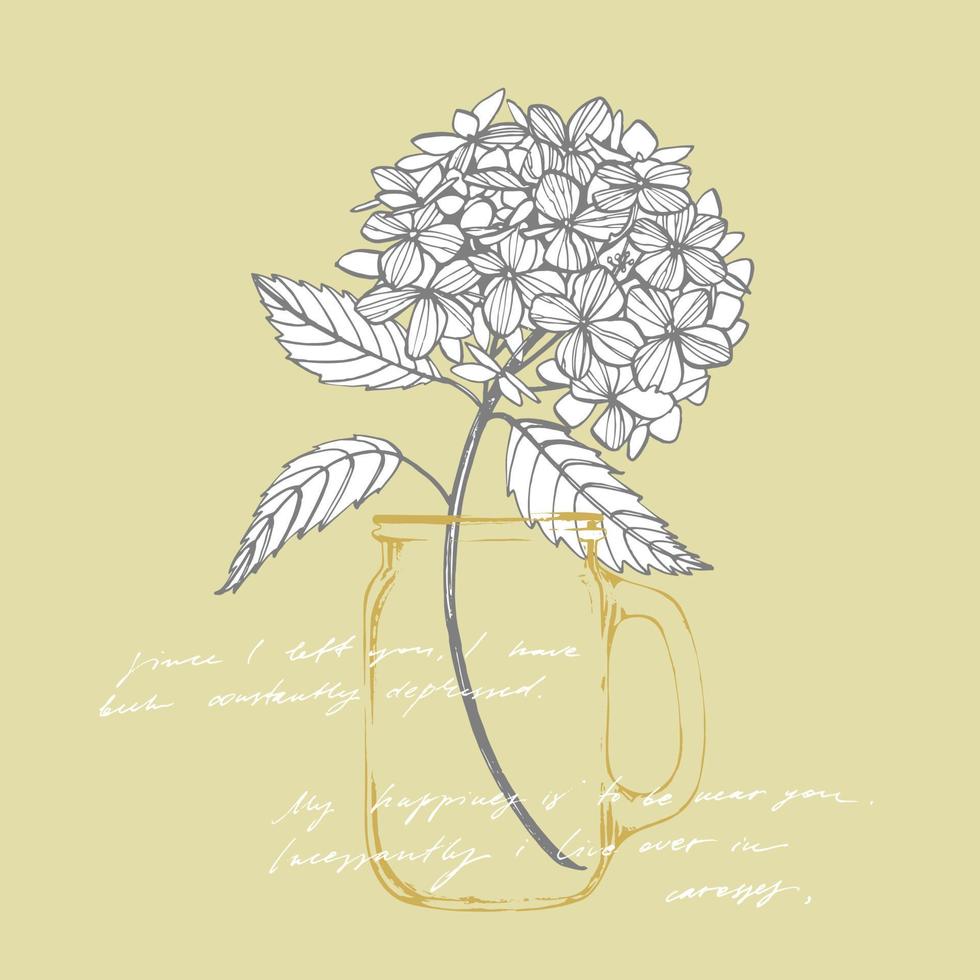 Hydrangea graphic illustration in vintage style. Flowers drawing and sketch with line-art on white backgrounds. Botanical plant illustration. Handwritten abstract text vector