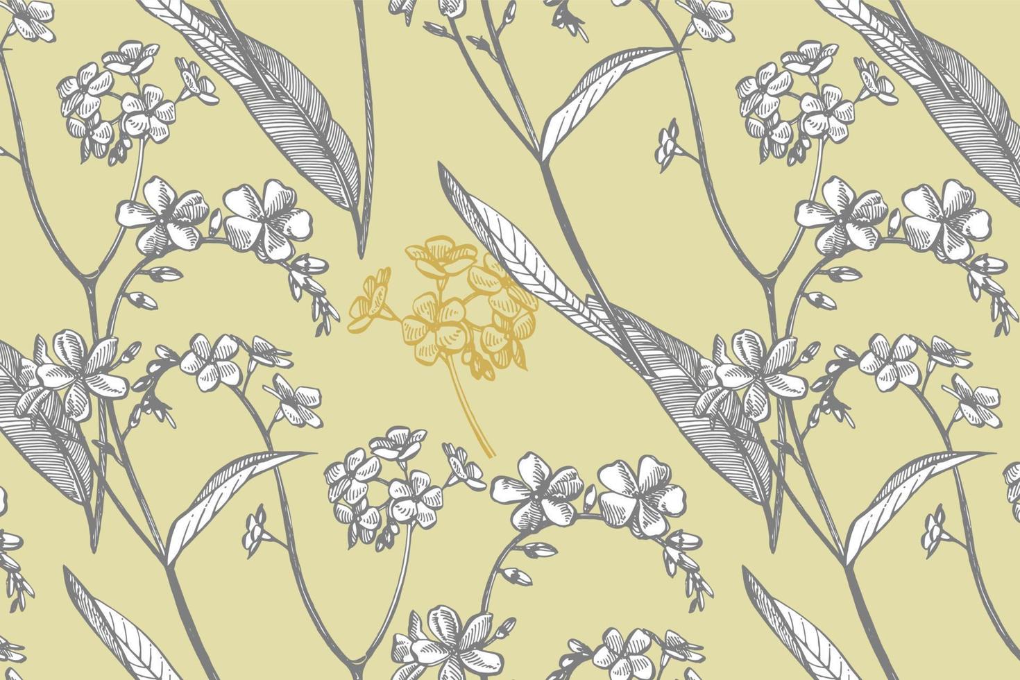 Forget-me-not flowers. Botanical illustration. Good for cosmetics, medicine, treating, aromatherapy, nursing, package design, field bouquet Seamless patterns vector