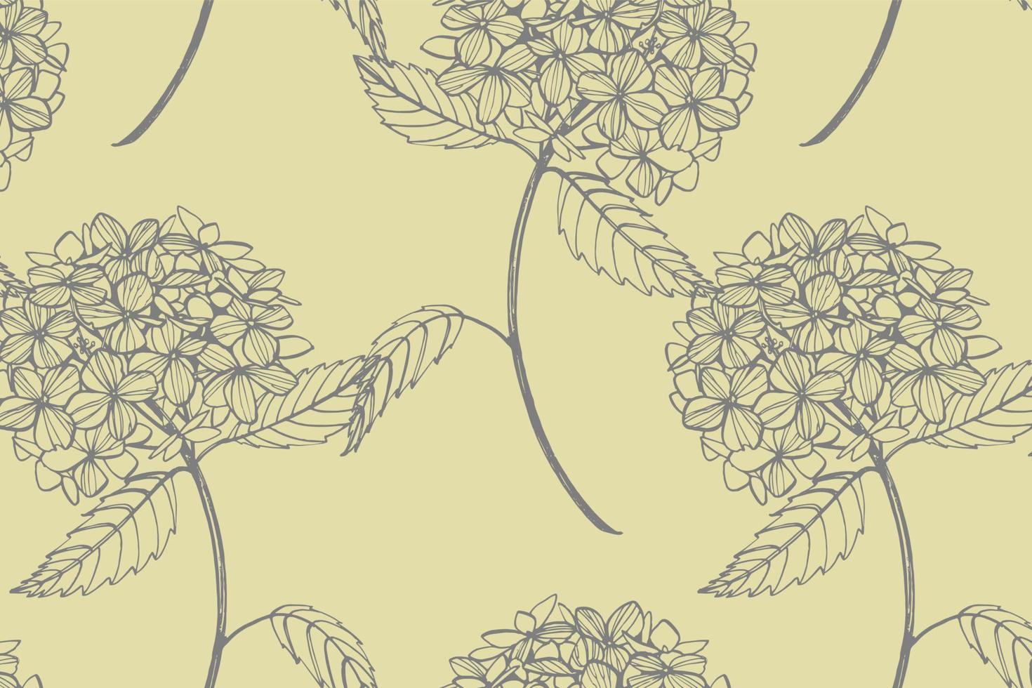 Hydrangea graphic illustration in vintage style. Flowers drawing and sketch with line-art on white backgrounds. Botanical plant illustration. Handwritten abstract text vector