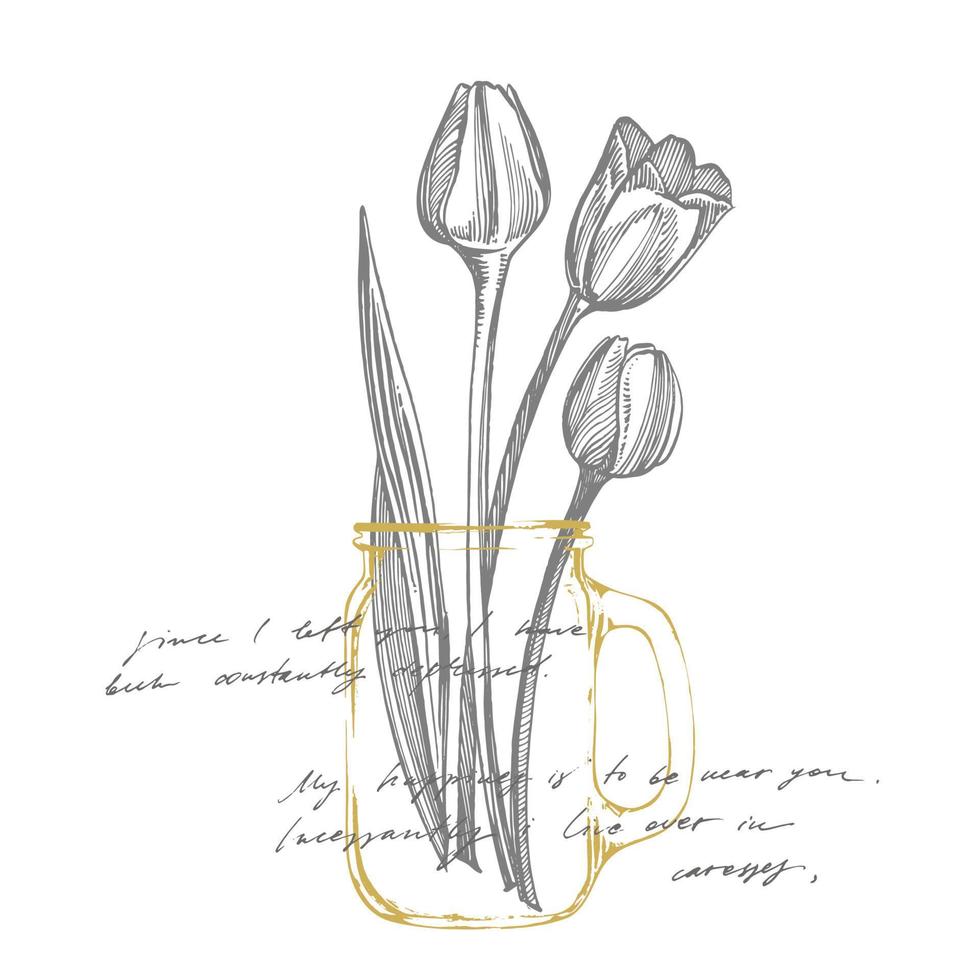 Tulip flower graphic sketch illustration. Botanical plant illustration. Vintage medicinal herbs sketch set of ink hand drawn medical herbs and plants sketch. Handwritten abstract text vector