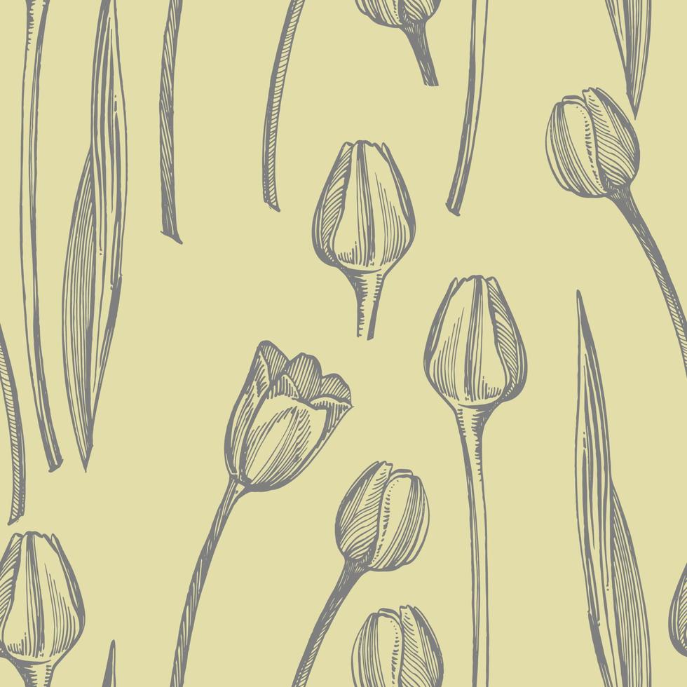 tulipán flor gráfico bosquejo ilustración. botánico planta ilustración. Clásico medicinal hierbas bosquejo conjunto de tinta mano dibujado médico hierbas y plantas bosquejo. sin costura patrones vector