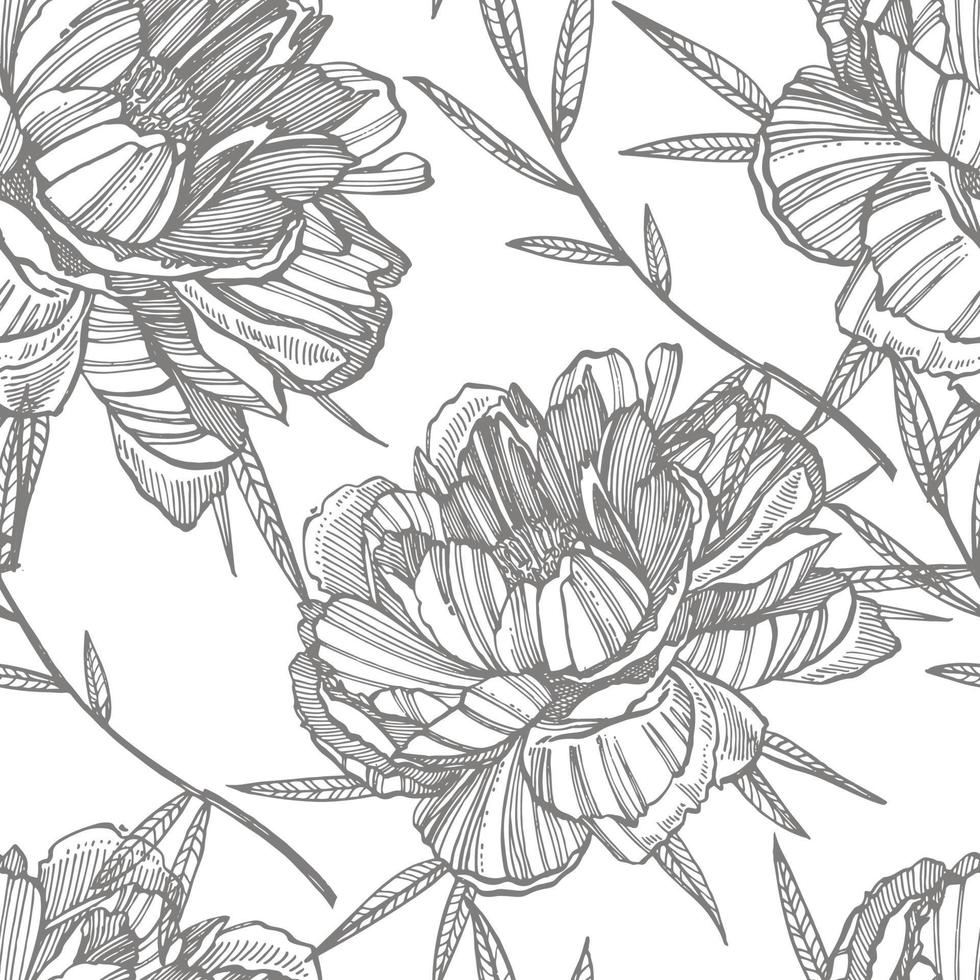 Peony flower and leaves drawing. Hand drawn engraved floral set. Botanical illustrations. Great for tattoo, invitations, greeting cards vector