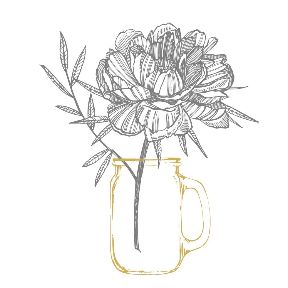 Peony flower and leaves drawing. Hand drawn engraved floral set. Botanical illustrations. Great for tattoo, invitations, greeting cards vector