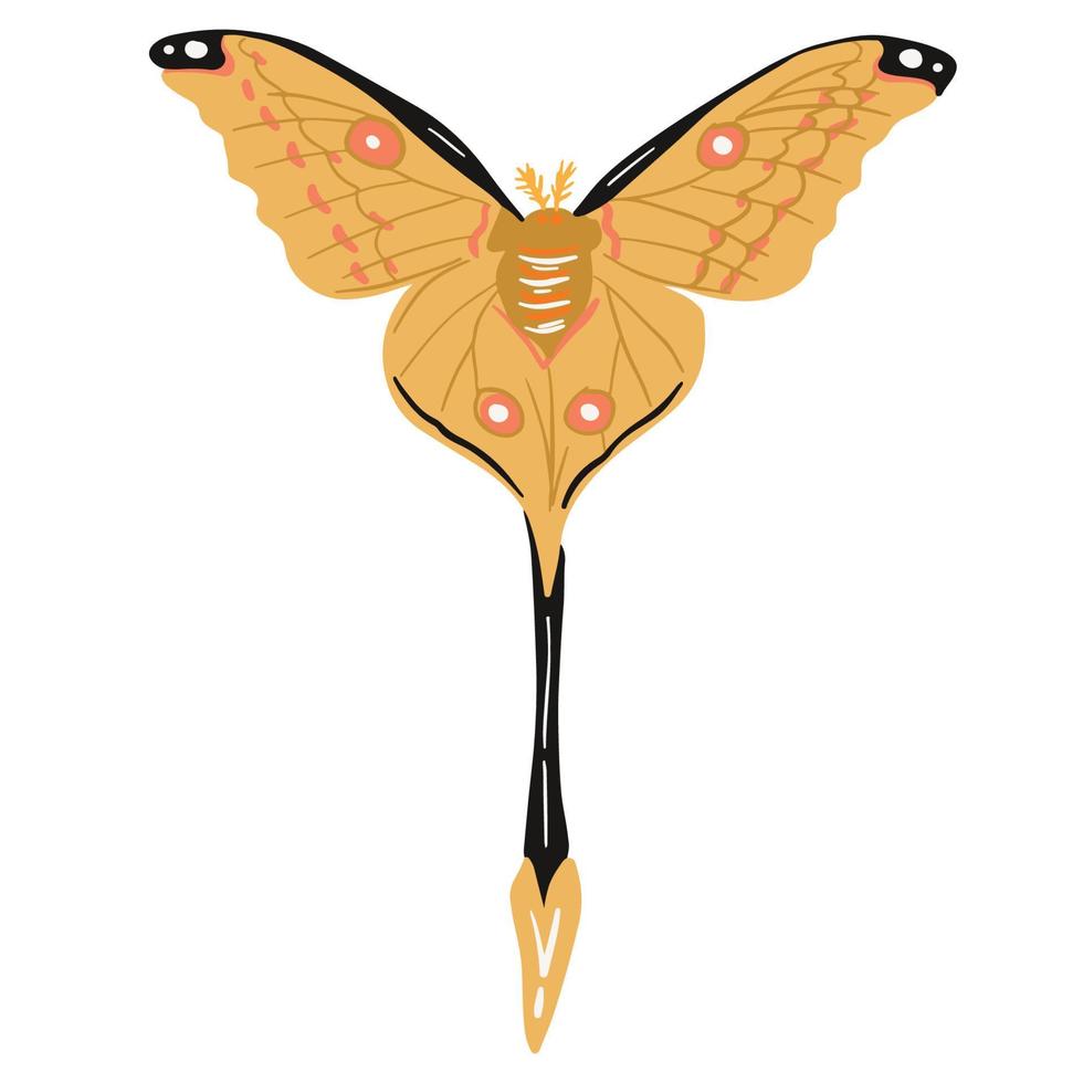 beautiful long tail moth, good for graphic design resources vector