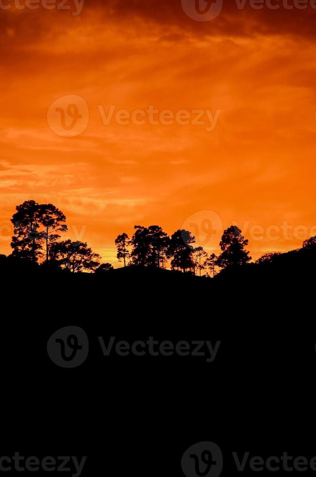 escénico rural paisaje foto