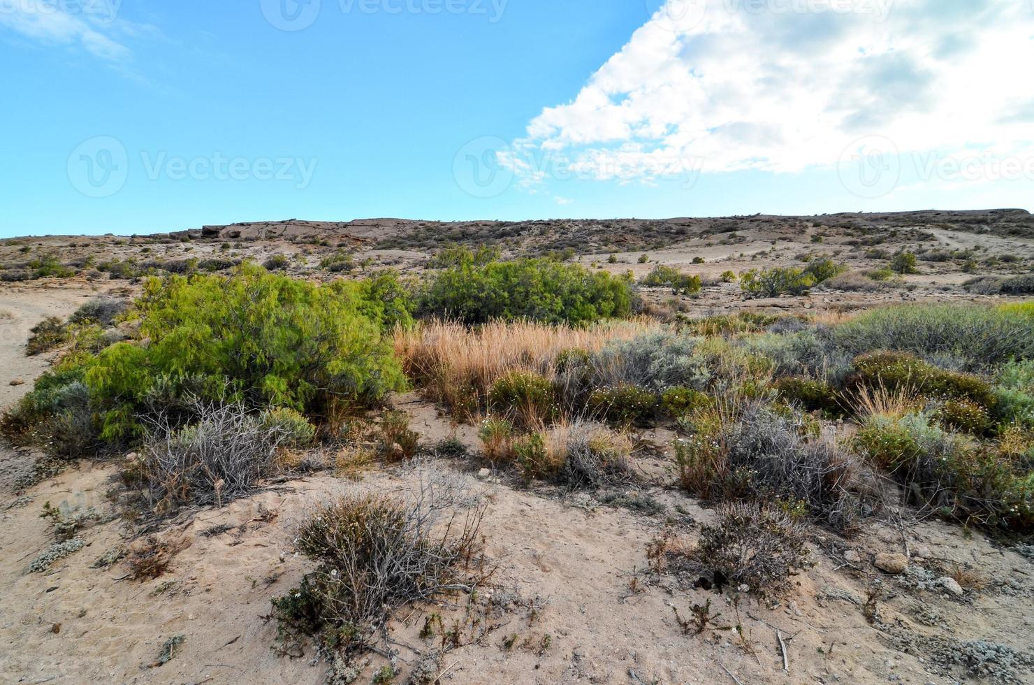 escénico rural paisaje foto