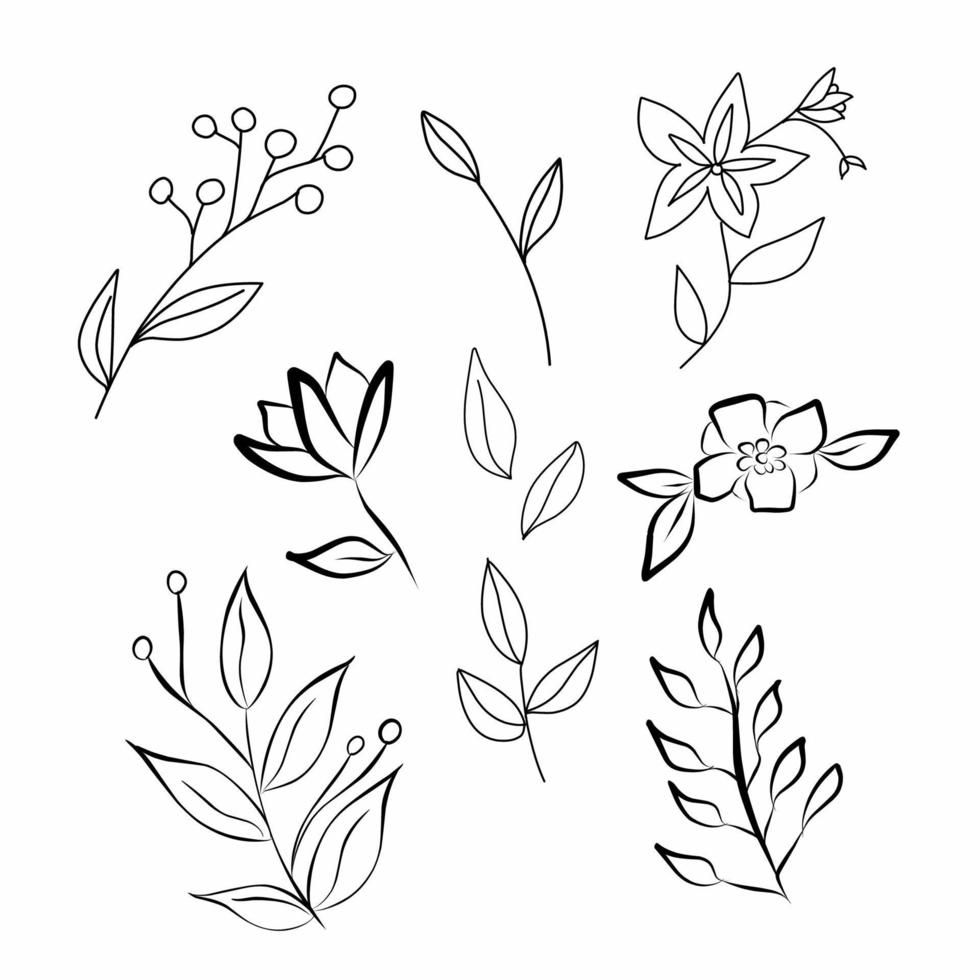 Hand drawn floral folliage set outline vector