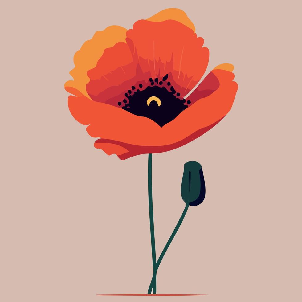 One red poppy flower vector