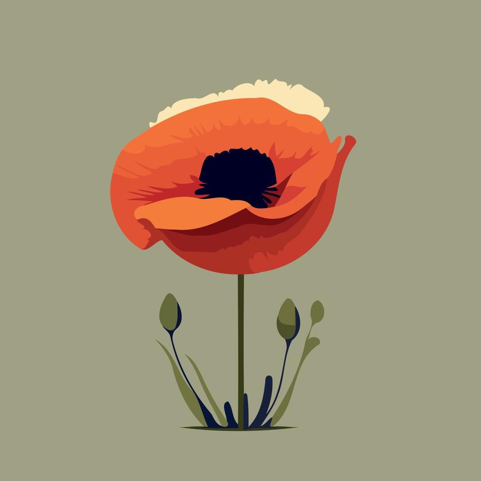 One red poppy flower vector