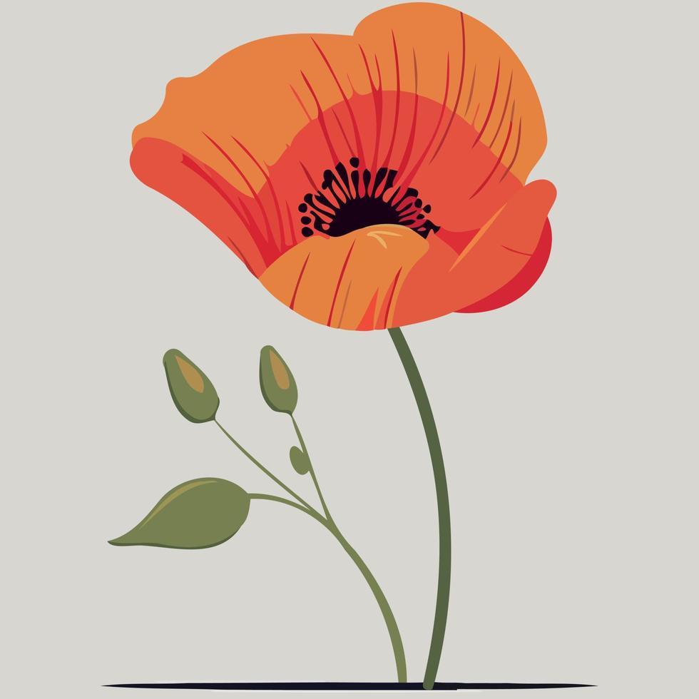 One red poppy flower vector