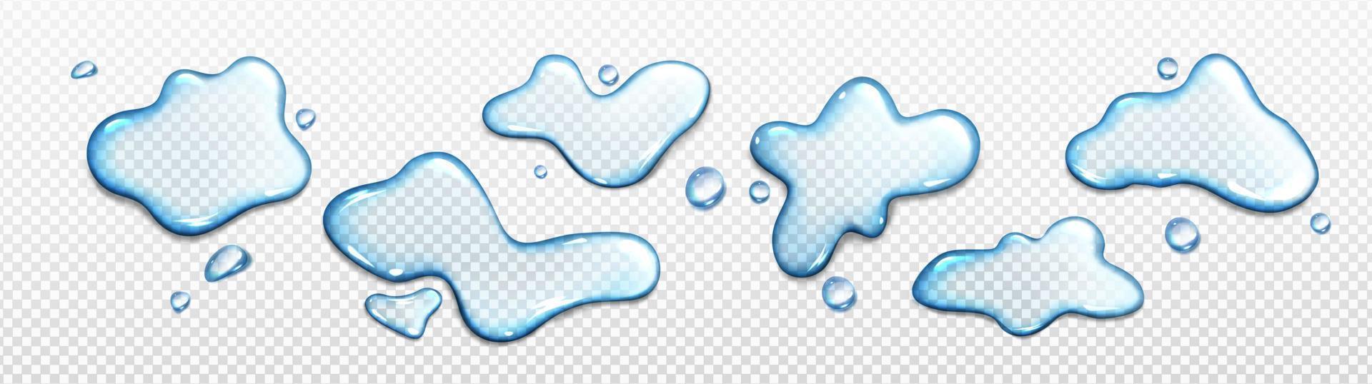 Realistic set of water puddles vector