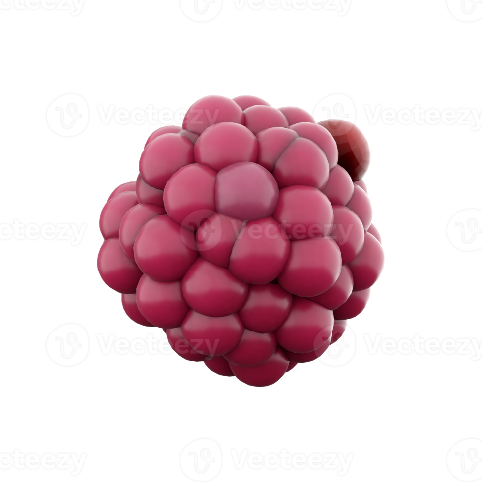 3d rendering cartoon raspberry icon. 3d render red color fresh berry icon. Cartoon raspberry. png