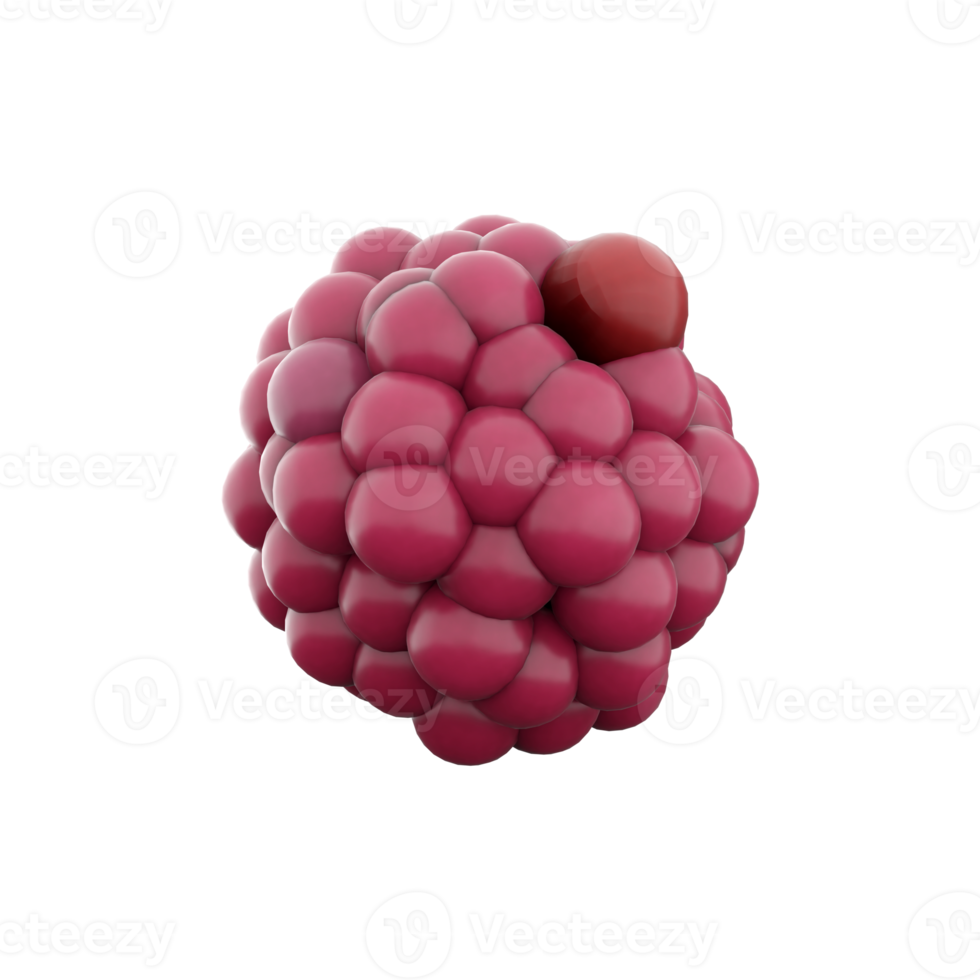 3d rendering cartoon raspberry icon. 3d render red color fresh berry icon. Cartoon raspberry. png