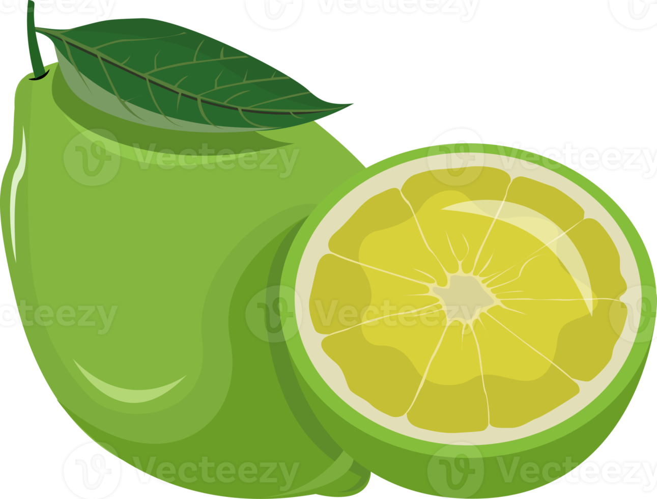 Green Lime Illustration png