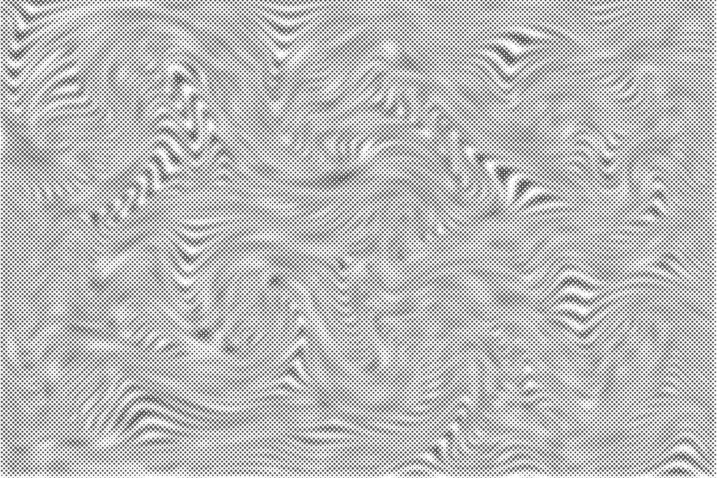 Wavy abstract halftone pattern. Dotted lines gradient on white background. Textured curve liquid grid. Vector illustration