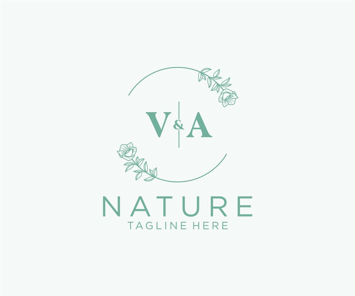 initial VA letters Botanical feminine logo template floral, editable premade monoline logo suitable, Luxury feminine wedding branding, corporate. vector