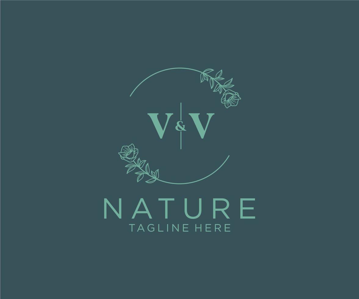 initial VV letters Botanical feminine logo template floral, editable premade monoline logo suitable, Luxury feminine wedding branding, corporate. vector