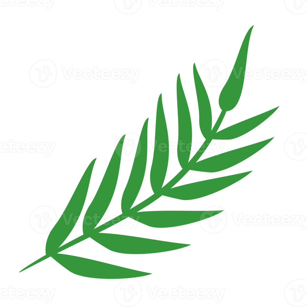 Natural Object element png