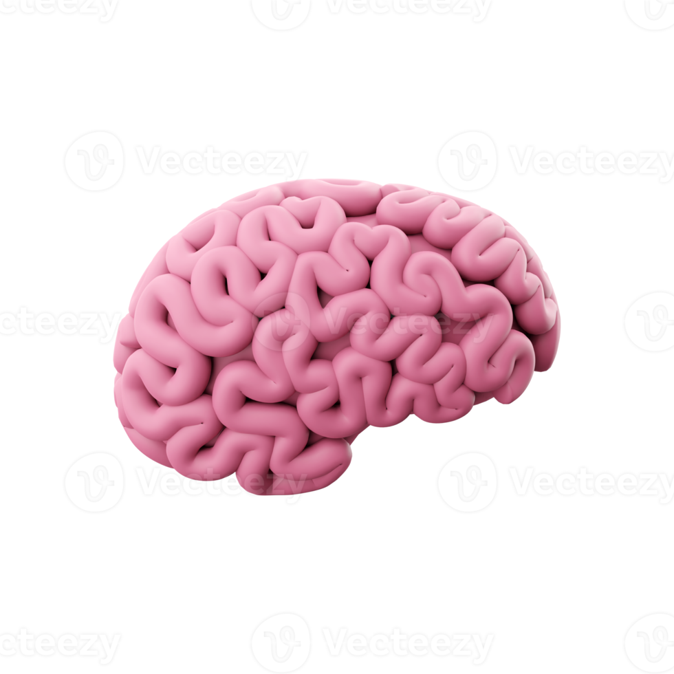 3d rendere minimo rosa cervello, pensiero comico discorso bolla. 3d interpretazione cervello cartone animato icona. png