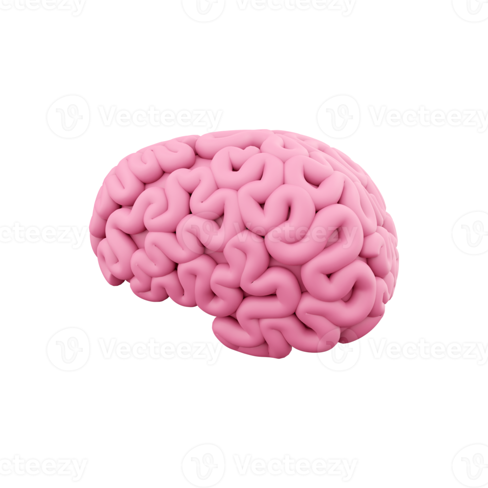 3d hacer mínimo rosado cerebro, pensando cómic habla burbuja. 3d representación cerebro dibujos animados icono. png